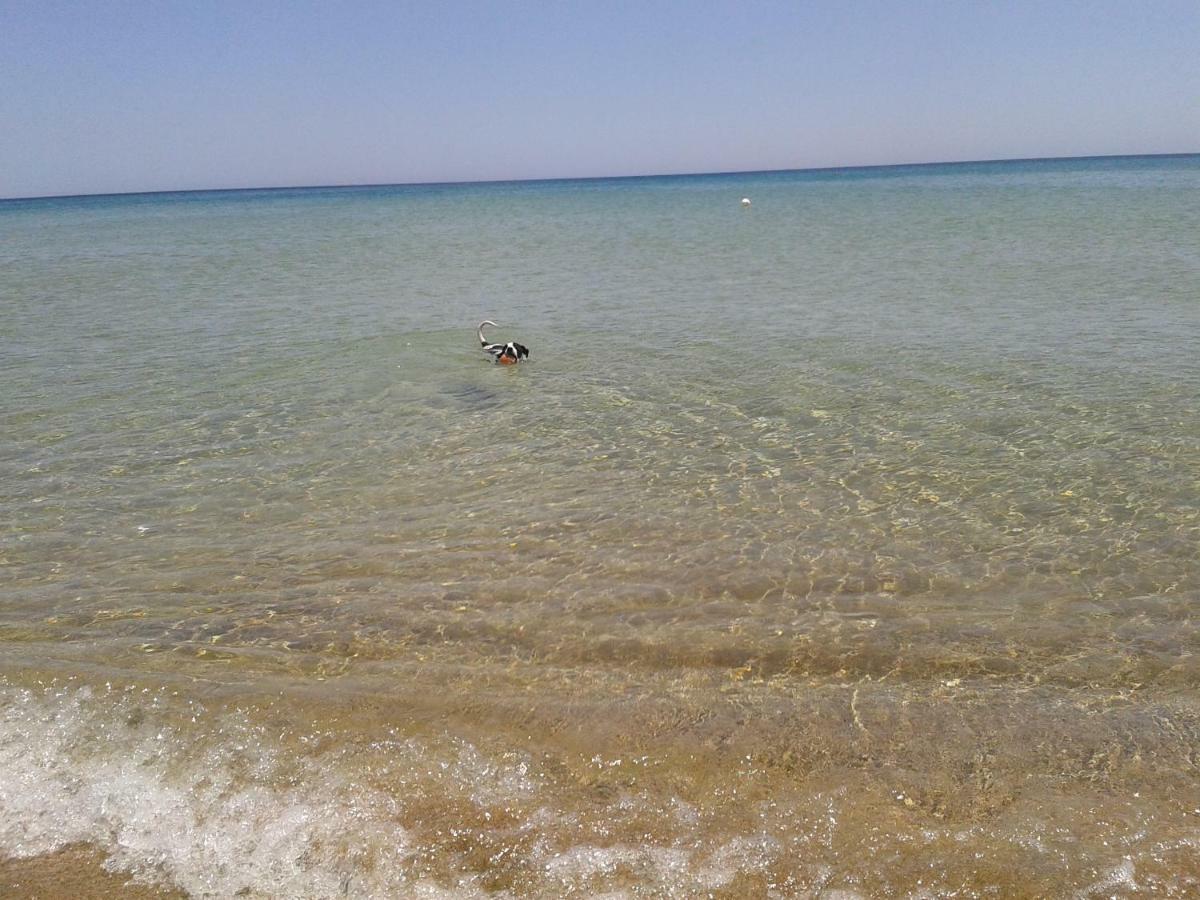 Profumo Di Mare Fronte Spiaggia Lido di Noto Exterior foto